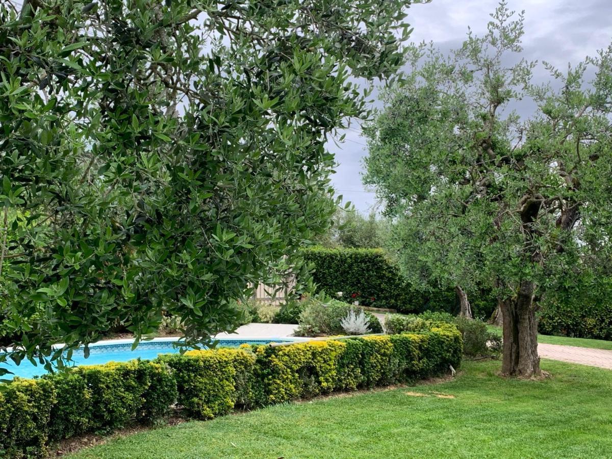 Ferienwohnung Locazione Turistica Casa Olivo Fucecchio Exterior foto