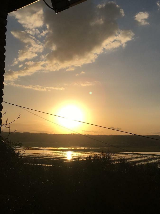 Ferienwohnung Locazione Turistica Casa Olivo Fucecchio Exterior foto