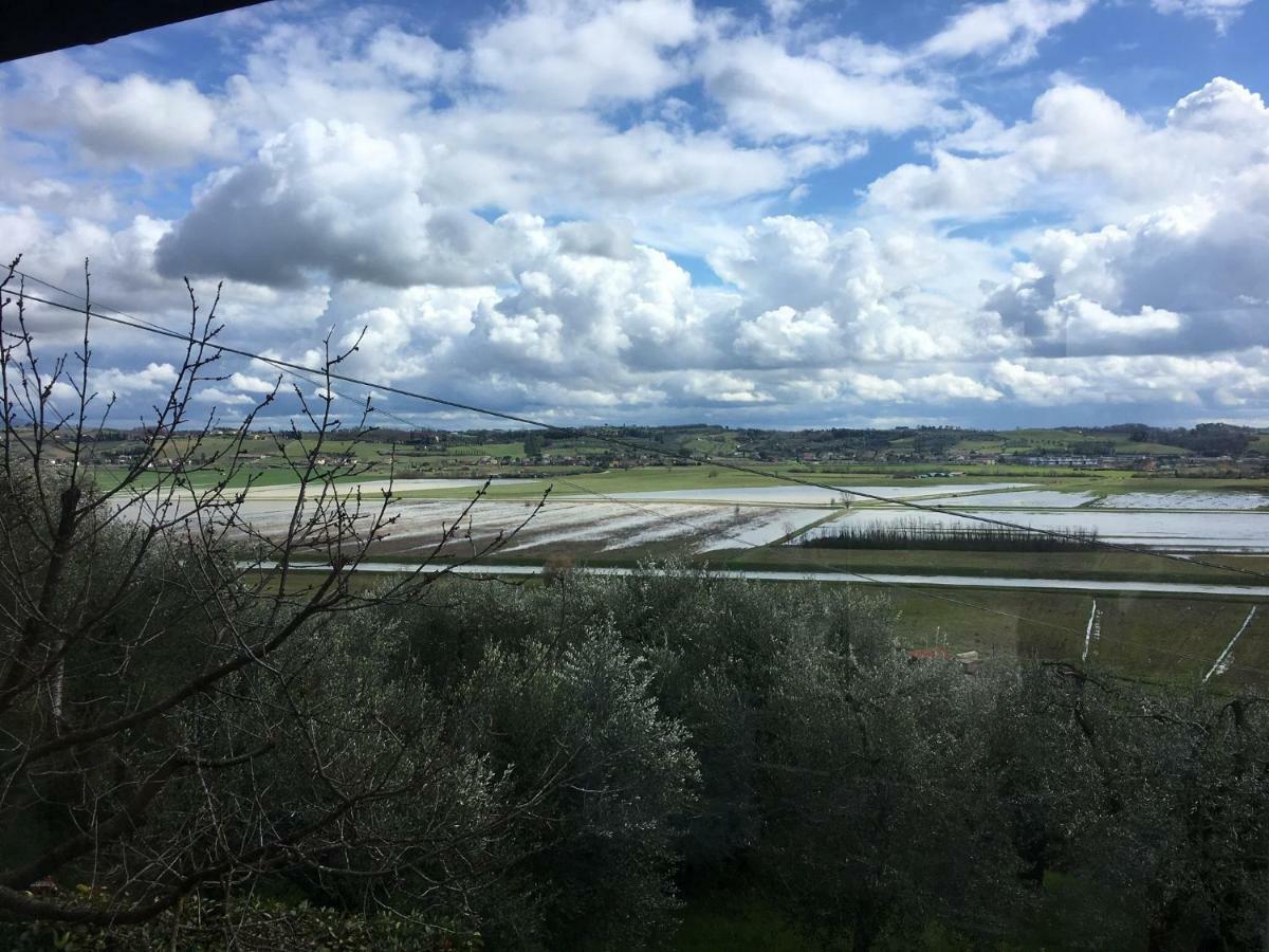 Ferienwohnung Locazione Turistica Casa Olivo Fucecchio Exterior foto