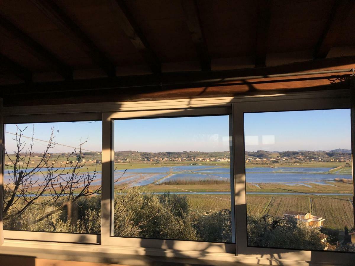 Ferienwohnung Locazione Turistica Casa Olivo Fucecchio Exterior foto
